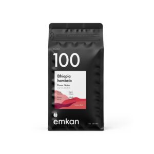 100 تخصصی اتیوپی