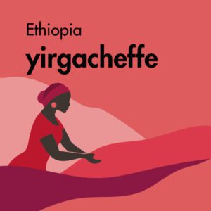 قهوه تک خاستگاه اتیوپی یرگاچف برشته کاری امکان-کاور