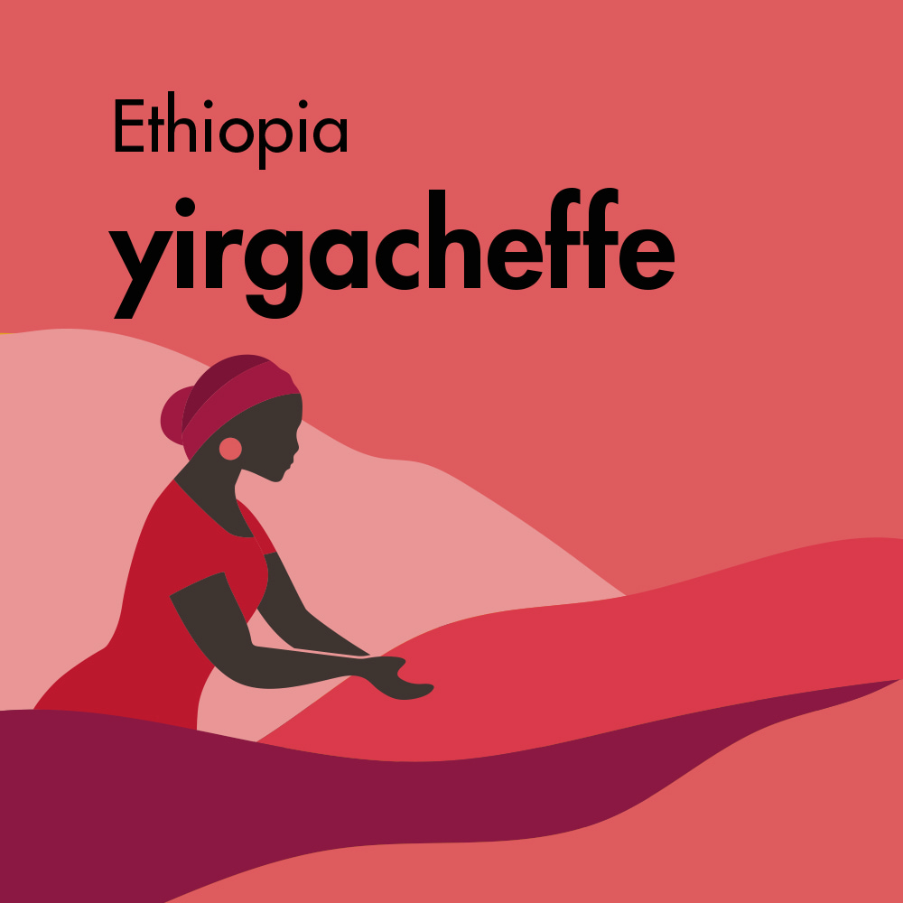 قهوه تک خاستگاه اتیوپی یرگاچف برشته کاری امکان-کاور