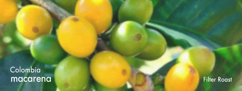 قهوه تکخاستگاه کلمبیا ماکارِنا – Colombia Macarena