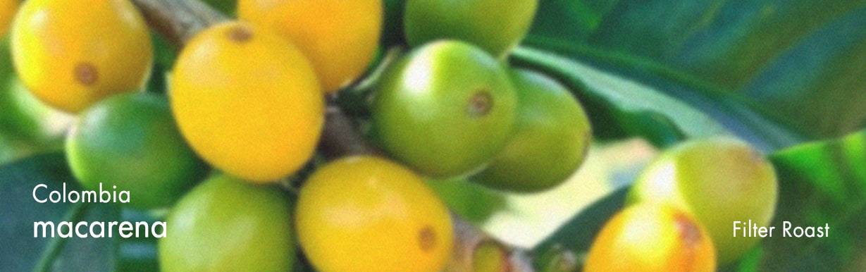 قهوه تکخاستگاه کلمبیا ماکارِنا – Colombia Macarena