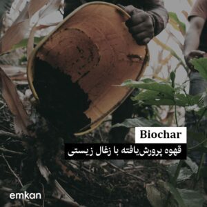 قهوه پرورش یافته با ذغال زیستی