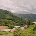 قهوه تک خاستگاه پرو کاخامارکا برشته کاری امکان-مزرعه