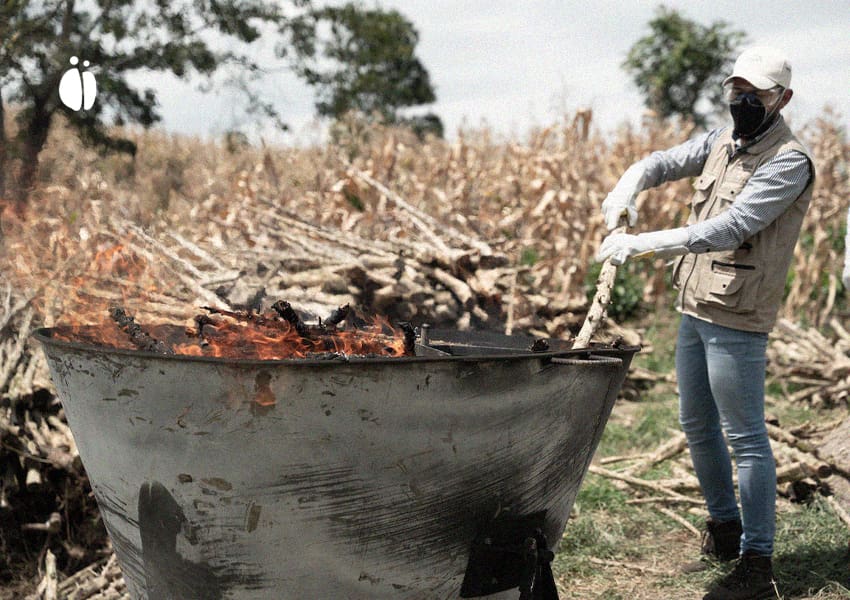 بیوچار اورجینز