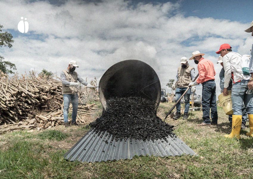 پروژه قهوه بیوچار