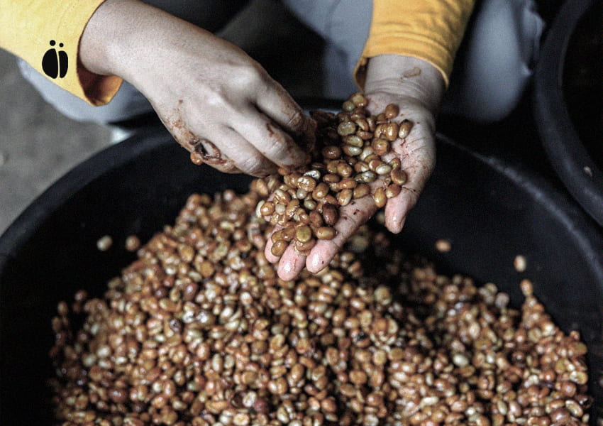 قهوه در رویدادها به ابزاری برای بازاریابی تبدیل شده است