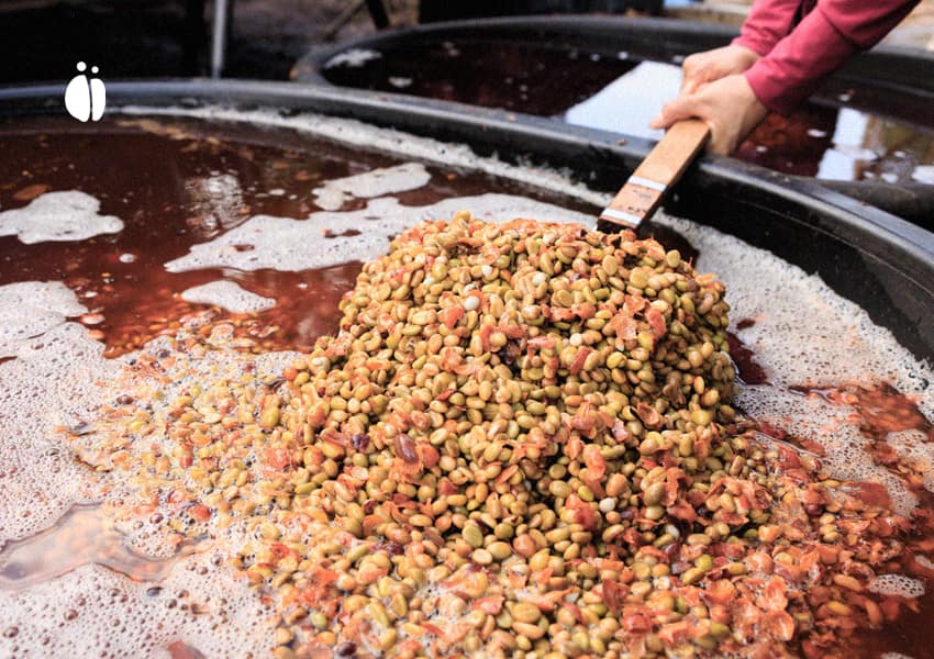 دلایل ماندگاری قهوههای شسته در صنعت قهوه