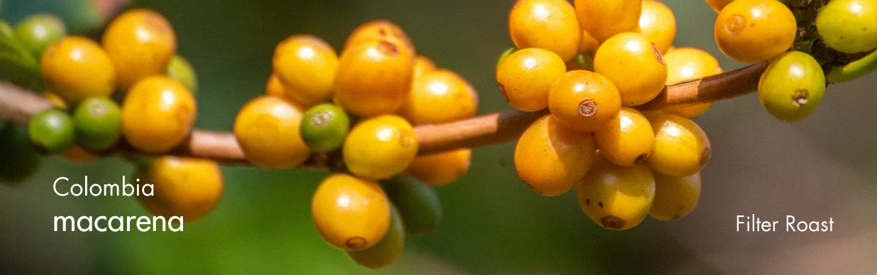 قهوه تک‌خاستگاه کلمبیا ماکارِنا – Colombia Macarena