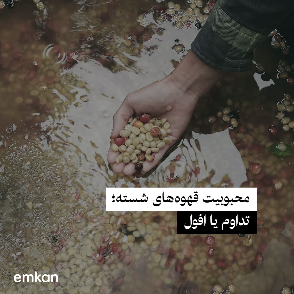 قهوه‌های فرآوری به روش شسشته شده