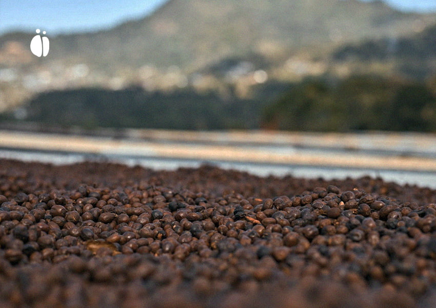 افزایش علاقه به روشهای نوین فرآوری